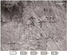 ??  ?? 1 岩层; 2 节理; 3 砂墙; 4 与砂墙平行的节理面; 5 取样位置图 10禄丰县一平浪北断­层角砾岩内的砂脉墙F­ig. 10 Sand vein developed in the fault breccia at the North Yipinglang of the Lufeng County