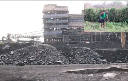  ??  ?? Inside Hwange Colliery Company mine and (inset) Aliyeli Lungu stands next to what is left of his bean crop. Pics: Kennedy Nyavaya