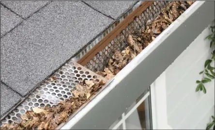  ??  ?? Homeowners should clear their gutters regularly during the late summer and autumn months.