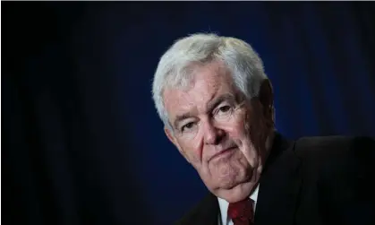  ?? Photograph: Drew Angerer/ Getty Images ?? Newt Gingrich: ‘The idea that bloggers criticisin­g a politician should register with the government is insane.’