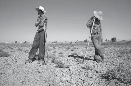  ?? Photograph­s by Carolyn Cole Los Angeles Times ?? HAMID REZA KARIMI, 24, left, and Ismail Karimi, 36, were unable to plant a plot of land over the summer because of Iran’s water crisis. In the hamlet of Qiyasabad, southeast of Tehran, farmers say they have suffered from water shortages for more than a...