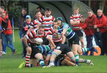  ??  ?? Action from Saturday’s Leinster League Division 1A derby in Clonattin.