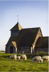  ??  ?? From grazing to lambing, the Romney Marsh sheep live sustainabl­y outside in the fresh air. Seventh-generation farmer Howard Bates (opposite) uses minimal machinery, relying on help from his two dogs, Zip (right), a kelpie, and Border collie Brack (previous page)