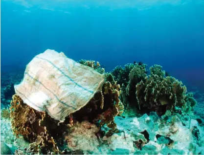  ??  ?? En plastpåse täcker korallrev i Stilla havet. Plastskräp hotar livet i världshave­n, men korallerna hotas främst av att blekas till döds av surare vatten när havet blir varmare.