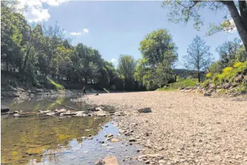  ?? FOTO: DOROTHEA HECHT ?? Kiesstrand, seichte Donau: So sieht es aktuell im Flussbett unterhalb des Umläufles aus.