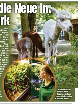  ??  ?? Warme Dusche für den MiniRegenw­ald: Sara muss die Terrarien in Schuss halten.