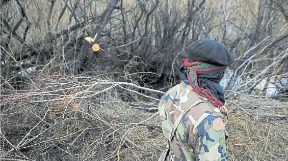  ?? EMMANUEL FERNÁNDEZ ?? Territorio sagrado. Un mapuche dentro del Pu Lof que el lunes fue rastrillad­o con policías por orden de la Justicia.