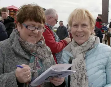  ??  ?? Mary Furlong and Brigid Kenny at the races on Friday.