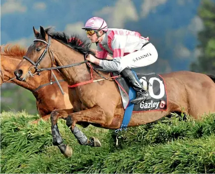  ?? RACE IMAGES ?? The Oysterman took 21 races to win his first, but did it in style in the $50,000 Manawatu Steeplecha­se.