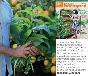  ??  ?? This is an extract from In Your Backyard: Urban Harvest, a 146- page special edition from the NZ Life &amp; Leisure team, which is packed with inspiratio­n and informatio­n about growing veggies in small spaces plus delicious recipes. Order on our website for $19.90 for free NZ delivery. shop.thisNZlife.co.nz