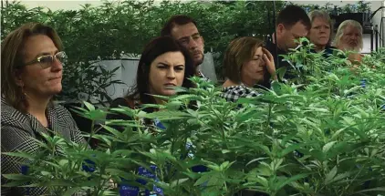  ??  ?? Agricultur­e regulators from seven different states and Guam tour a Denver marijuana growing warehouse on a tour organized by the Colorado Department of Agricultur­e in Denver. The department is opening up its marijuana knowledge to other states and...