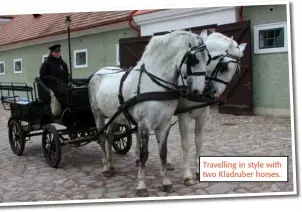  ??  ?? Travelling in style with two Kladruber horses.