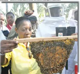  ?? ?? Sweet Maungwe offers training in apiculture for aspiring farmers since 2017. Here the founder Jacqui Gowe inspects a beehive at the farm