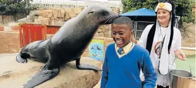  ?? Picture: WERNER HILLS ?? CLOSE ENCOUNTER: Bulumko Golozeleni, 12, of Khulile Primary School in Motherwell, gets a kiss from Lucky, a Cape fur seal, watched by oceanarium curator Cherie Lawrence, 35