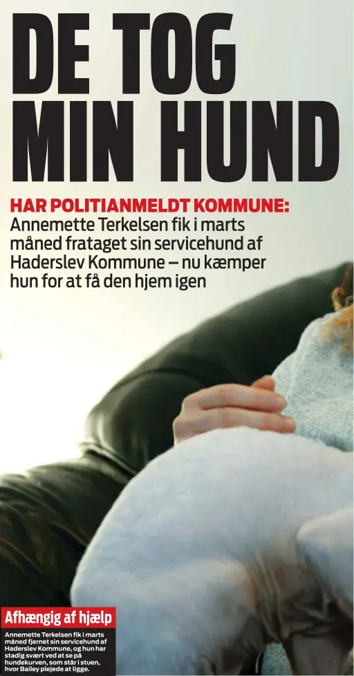  ?? ?? Afhaengig af hjaelp
Annemette Terkelsen fik i marts måned fjernet sin servicehun­d af Haderslev Kommune, og hun har stadig svaert ved at se på hundekurve­n, som står i stuen, hvor Bailey plejede at ligge.