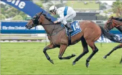  ??  ?? Impressive: Another big win for Graham Richardson as Single Minded and Craig Grylls claim the $100,000 City Of Auckland Cup at Ellerslie on New Year’s Day.