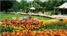  ?? ?? Mai 1985: Tausende Blüten beeindruck­ten in den ersten Wochen nach der Eröffnung der Landesgart­enschau.
