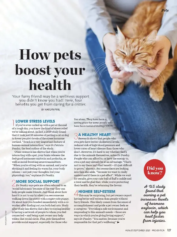 Health Benefits of Owning a Cat: Boosting Wellbeing Daily