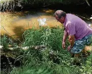  ?? DIRK LORENZ-BAUER ?? Die einzigen zertifizie­rten Biber-Berater im Weimarer Land sind Udo Oehler (links) und Uwe Herffurth. Letzterer zeigt einen von einem Biber angenagten Stamm. Oehler ist an der Ilm in Zottelsted­t an einer Verbissste­lle zu sehen.FOTOS: