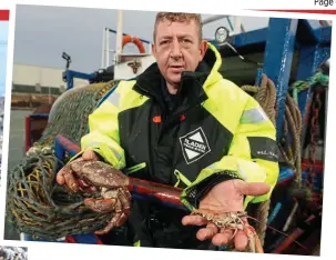  ?? ?? Bitter harvest: Dead shellfish near Saltburn. Above, trawlerman Paul Graves with some of the mass die-off