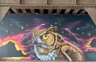  ?? ?? Justin Suarez’s latest mural, “Storm Chaser” (above), located under the train tracks at Chicago Avenue and Lessing Street, covered up another he did of a pair of screech owls, titled “Fly Me to the Moon’’ (below).