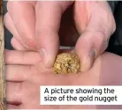  ??  ?? A picture showing the size of the gold nugget