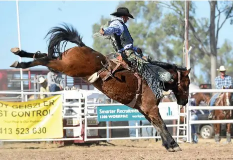  ?? PHOTO: DAVE ETHELL PHOTOS ?? BUCKING BRONCS: Cameron Webster on Young Gun.