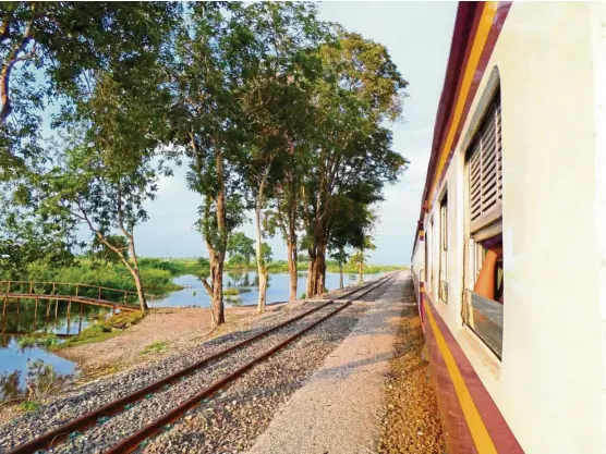  ??  ?? A typical view along the journey from Bangkok to Hatyai by train. — Photos: NOORAINI MYDIN