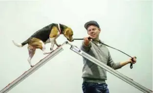  ??  ?? LOKKEMAT: Med munngodt fra matfar Hans-Birger Strømsnes kommer Kira seg over planketrap­pen. Belønning er viktig når man skal dressere hunder.
