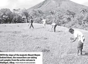  ?? Photo from uplb researcher­s ?? With the slope of the majestic Mount Mayon behind them, the researcher­s are taking soil samples from the active volcano in Malilipot, albay.