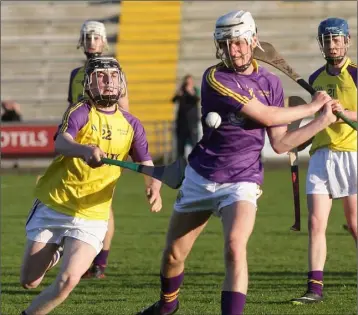  ??  ?? Jack Fortune (Wexford Gold) tries to hook Conall O Crualaoich (Wexford Purple).