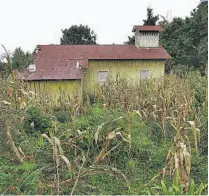  ??  ?? Sin uso. La antigua parroquia católica del cantón Palo de Campana luce abandonada entre maizales y matorrales.