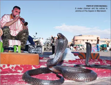  ?? PHOTO BY STEVE MACNAULL ?? A snake charmer and his cobras in Jemma-el-Fna Square in Marrakech.