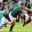  ?? African News Agency ANA ?? SPRINGBOK hooker Malcolm Marx says the Boks needn’t worry about their lack of game time. | LEON LESTRADE