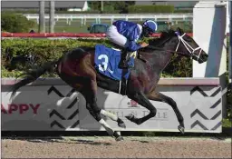  ?? LAUREN KING/COGLIANESE PHOTOS ?? Zaajel, trained by Todd Pletcher, wins a maiden race on Dec. 20 at Gulfstream Park, earning a Beyer Speed Figure of 75.