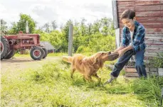  ?? FOTO: CONSTANTIN ?? Das ideale Herrchen: Zu Ethan (Bryce Gheisar) möchte der Hund Bailey unbedingt zurück auf seiner Reise durch die Zeit.