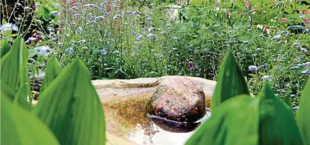  ??  ?? Steinerne Vogeltränk­en wie diese – teils verziert mit bronzenen Tierfigure­n wie einer Hühner-Parade, Vögel, Schnecken oder Geckos – sind überall im Garten von Arnulf Harnisch und Kerstin Busch in Schlöben zu finden. Mehr Fotos: www.tlz.de Fotos: Ute...