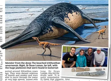  ?? ?? Monster from the deep: The beached Ichthyotit­an n severnensi­s. Right, Dr Dean Lomax, far left, with the huge jawbones that were found in Somerset