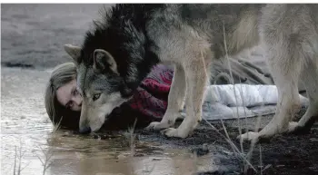  ?? FOTO: WDR ?? Als Ania (Lilith Stangenber­g) einen Wolf trifft, ändert sich ihr Leben. Sie lässt ihr bürgerlich­es Dasein hinter sich und folgt in radikaler Konsequenz ihrem Bedürfnis nach Freiheit.