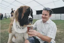  ??  ?? Oscar the St Bernard with owner Gareth Purdy having a beer.