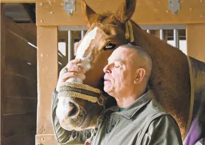  ?? AMY DAVIS/BALTIMORE SUN ?? Retired Baltimore police Detective Jeffrey Mellott with one of the horses he cares for on a farm near his Baltimore County home.