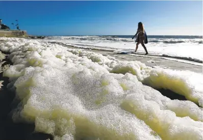  ?? K.C. ALFRED U-T FILE ?? Foam washed ashore on much of the San Diego County coastline in May, a product of the red tide that hung around for more than a month. Beachgoers flocked to see the biolumines­cence, flashes of green or blue light visible at night.