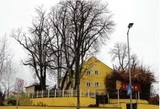  ?? Foto: Gerald Modlinger ?? Die Tage der alten Kastanien am Kratzerkel­ler in der Katharinen­straße in Landsberg sind wohl gezählt.