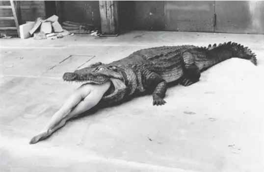  ?? Helmut Newton ?? 1983.