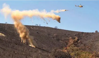  ?? E.M. ?? Un helicópter­o descarga bloques de paja sobre la superficie quemada en los incendios.