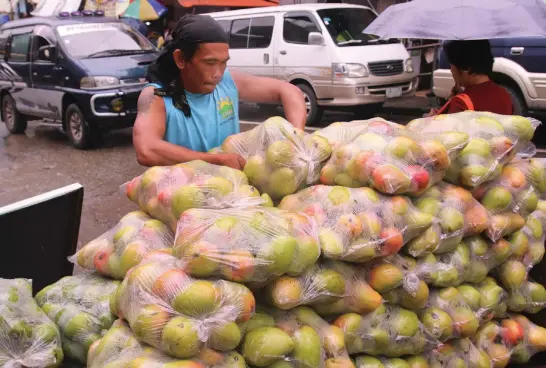  ?? Photo by Milo Brioso ?? COPING UP WITH THE TIMES. With the high cost of living nowadays, porters at the Baguio City Market works double time amid the continued rain showers in the Summer Capital just to earn a decent living.