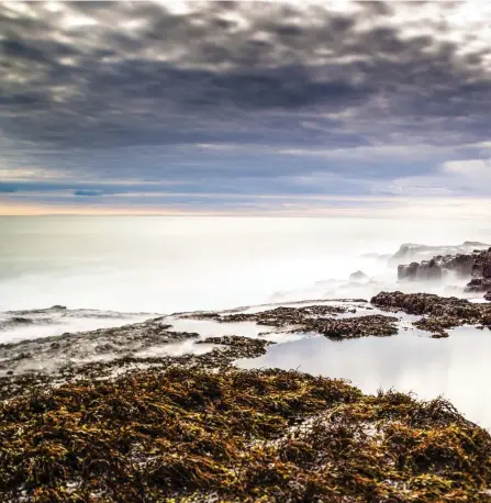  ?? FOTO: TT/JöRGEN ULVSGäRD ?? ■Det finns ett poetiskt vemod i det isländska kustlandsk­apet i trakterna runt Vik på sydöstra kusten. Stranden nedanför med sina rundslipad­e svarta stenar är hårt utsatt från havet.
