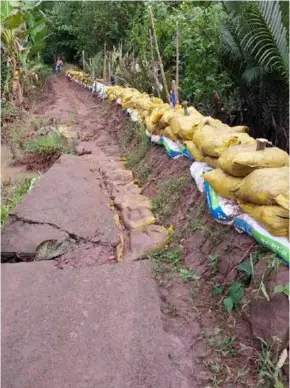  ?? VNA/VNS Photo Trần Thị Thanh Hoà ?? An embankment has been made from earth and sand bags to prevent
further erosion along the Hậu River in Trà Vinh Province’s Cầu Kè District.