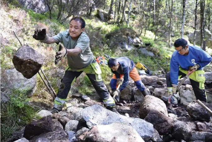  ?? PÅL CHRISTENSE­N ?? Sherpaer fra Nepal har vaert innleid av Stiftelsen Preikestol­en for å utbedre stien opp til Preikestol­en. Her er Sonam Tsmering Sherpa, Nima Tsmering Sherpa og Sonam Finjo Sherpa i sving.