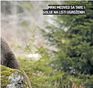  ??  ?? MRKI MEDVED SA TARE I GOLIJE NA LISTI UGROŽENIH